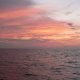 1- Premier crepuscule 